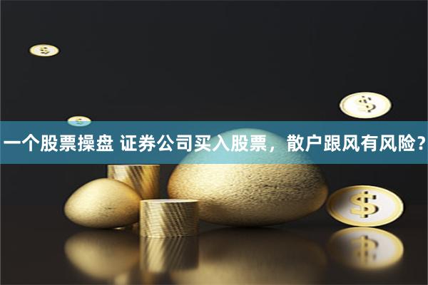 一個(gè)股票操盤(pán) 證券公司買(mǎi)入股票，散戶跟風(fēng)有風(fēng)險(xiǎn)？